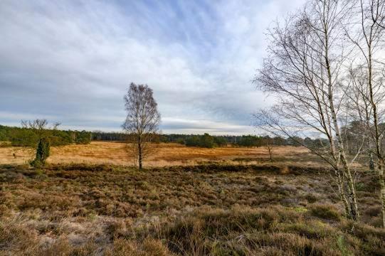 Vakantiebungalow De Schaapskooi Epe Dış mekan fotoğraf
